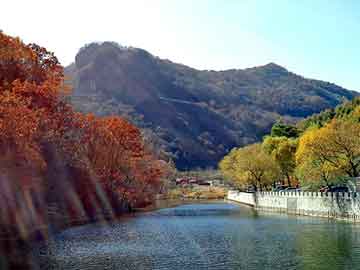 新澳天天开奖资料大全旅游团，西方蜘蛛